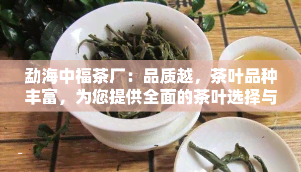 勐海中福茶厂：品质越，茶叶品种丰富，为您提供全面的茶叶选择与购买指南