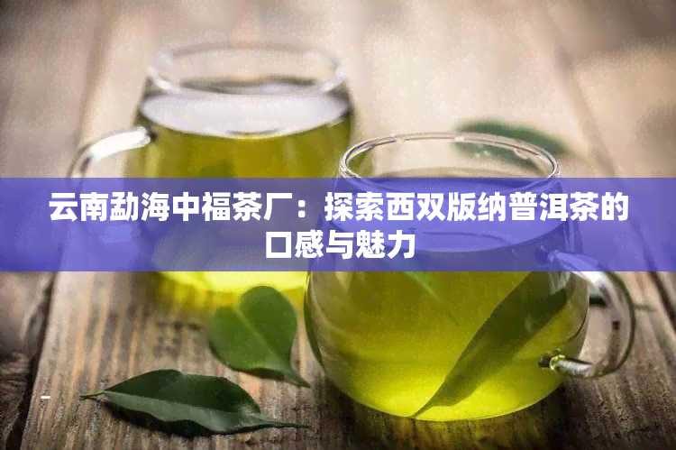 云南勐海中福茶厂：探索西双版纳普洱茶的口感与魅力