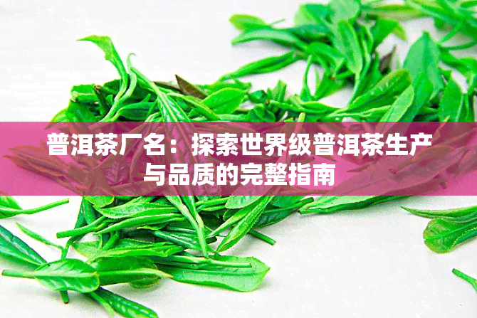 普洱茶厂名：探索世界级普洱茶生产与品质的完整指南