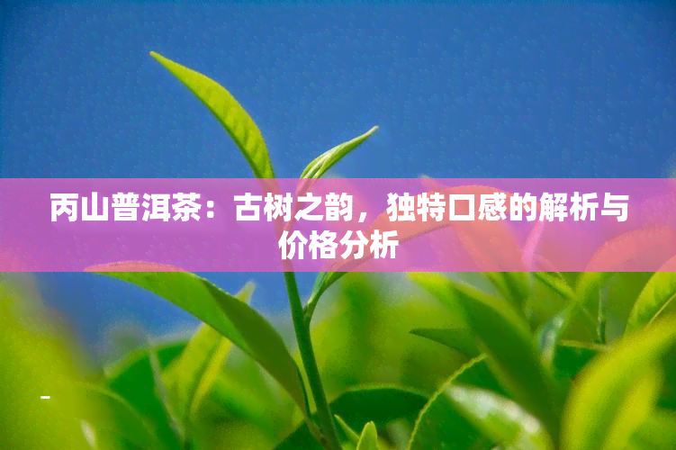 丙山普洱茶：古树之韵，独特口感的解析与价格分析