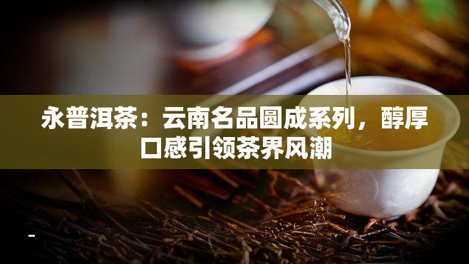 永普洱茶：云南名品圆成系列，醇厚口感引领茶界风潮