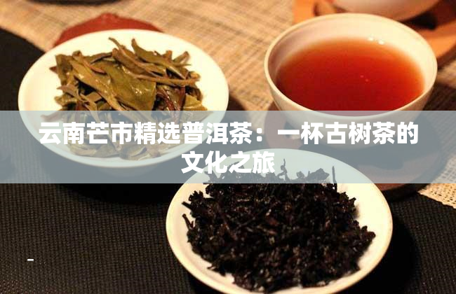 云南芒市精选普洱茶：一杯古树茶的文化之旅