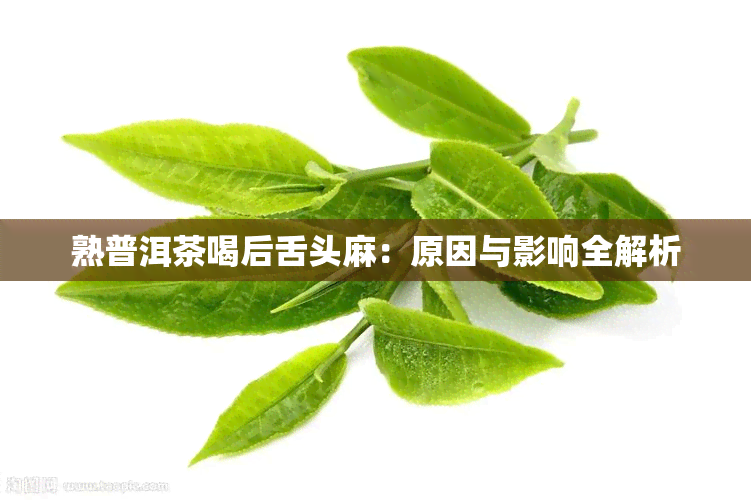 熟普洱茶喝后舌头麻：原因与影响全解析