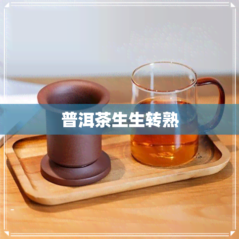 普洱茶生生转熟