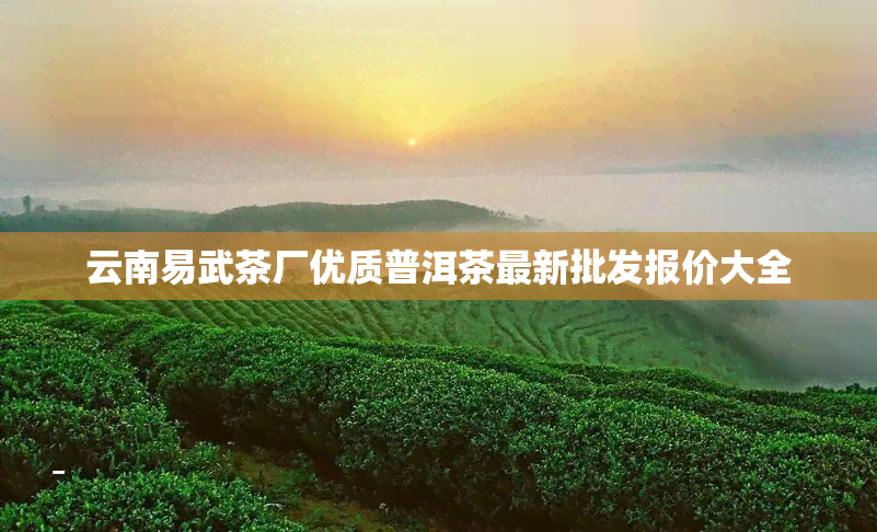 云南易武茶厂优质普洱茶最新批发报价大全