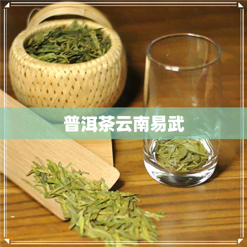 普洱茶云南易武