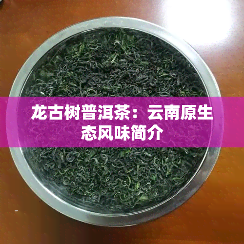 龙古树普洱茶：云南原生态风味简介