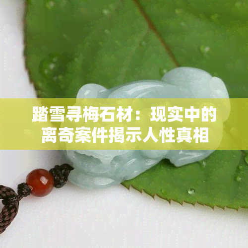 踏雪寻梅石材：现实中的离奇案件揭示人性真相