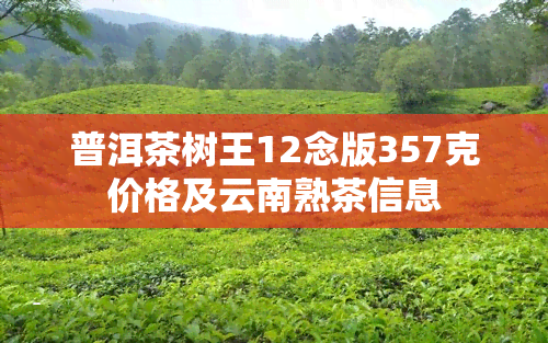 普洱茶树王12念版357克价格及云南熟茶信息