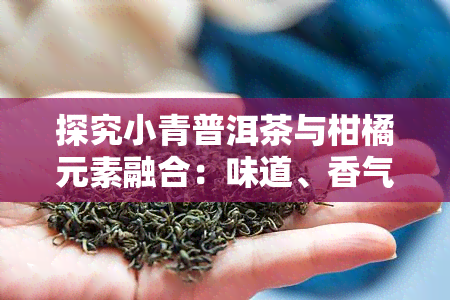 探究小青普洱茶与柑橘元素融合：味道、香气与保质期的影响