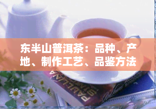 东半山普洱茶：品种、产地、制作工艺、品鉴方法及市场现状全面解析