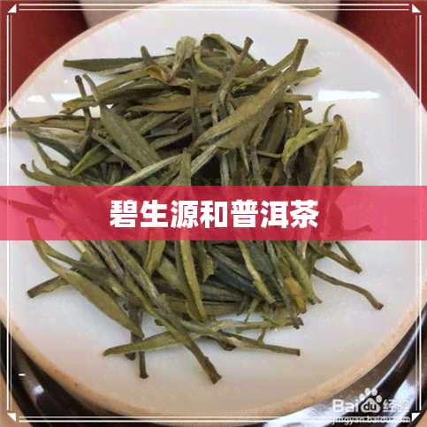 碧生源和普洱茶