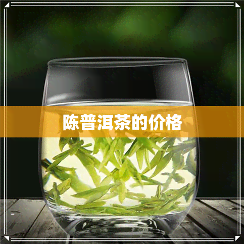 陈普洱茶的价格