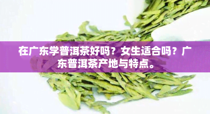 在广东学普洱茶好吗？女生适合吗？广东普洱茶产地与特点。