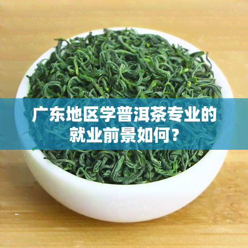 广东地区学普洱茶专业的就业前景如何？