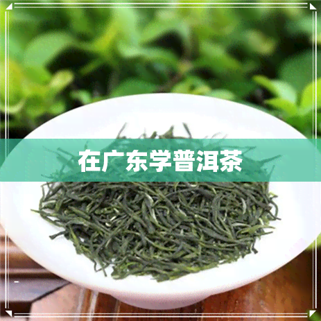 在广东学普洱茶