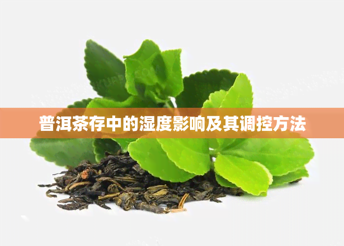 普洱茶存中的湿度影响及其调控方法