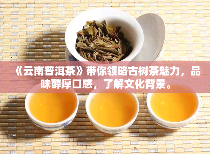 《云南普洱茶》带你领略古树茶魅力，品味醇厚口感，了解文化背景。