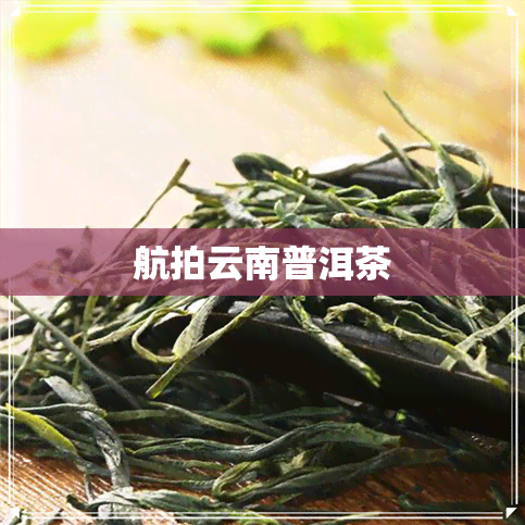 航拍云南普洱茶