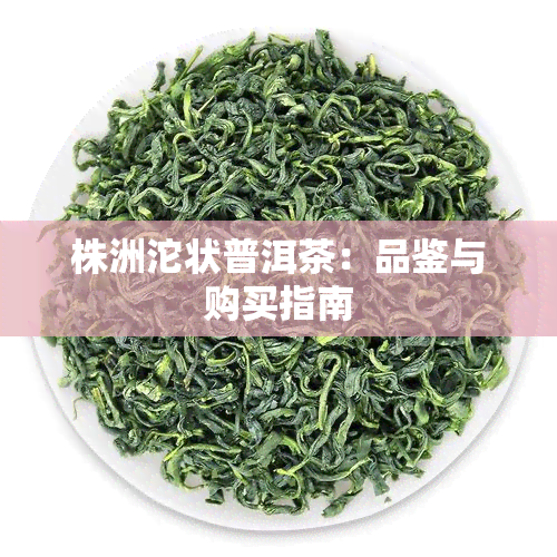 株洲沱状普洱茶：品鉴与购买指南