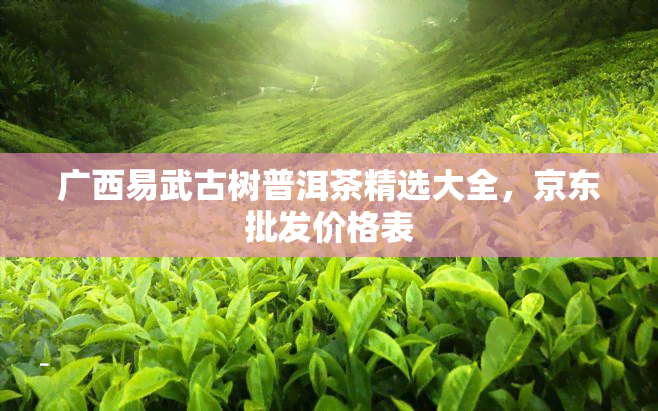 广西易武古树普洱茶精选大全，京东批发价格表