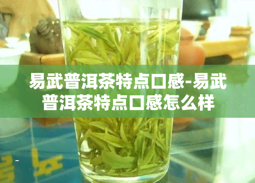 易武普洱茶特点口感-易武普洱茶特点口感怎么样