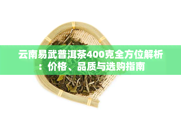 云南易武普洱茶400克全方位解析：价格、品质与选购指南