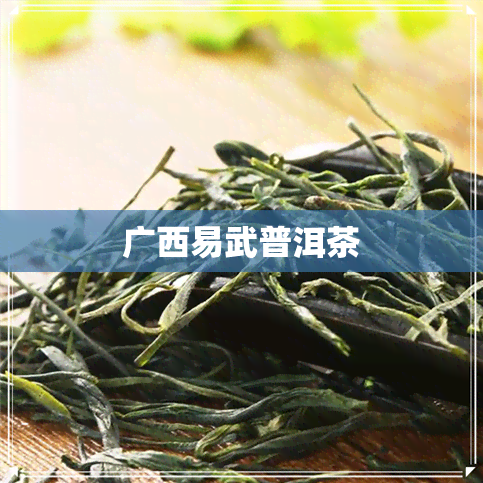 广西易武普洱茶