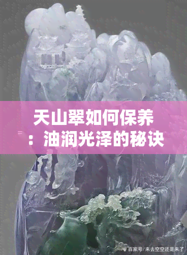 天山翠如何保养：油润光泽的秘诀