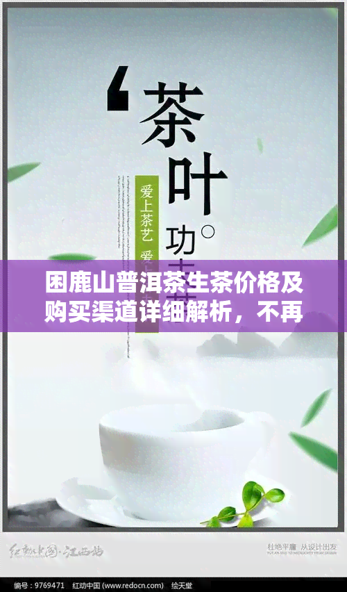 困鹿山普洱茶生茶价格及购买渠道详细解析，不再盲目跟风淘宝京东