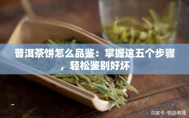 普洱茶饼怎么品鉴：掌握这五个步骤，轻松鉴别好坏