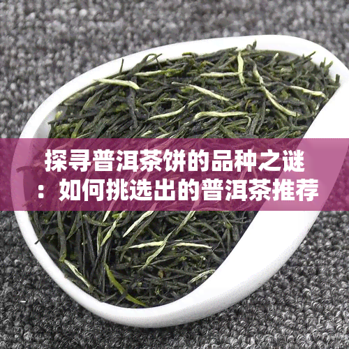 探寻普洱茶饼的品种之谜：如何挑选出的普洱茶推荐？