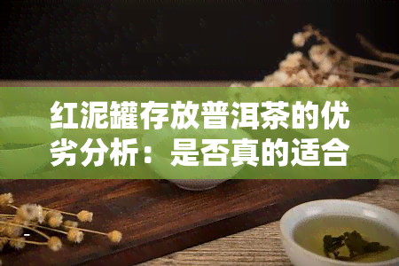 红泥罐存放普洱茶的优劣分析：是否真的适合普洱茶？