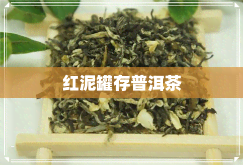 红泥罐存普洱茶