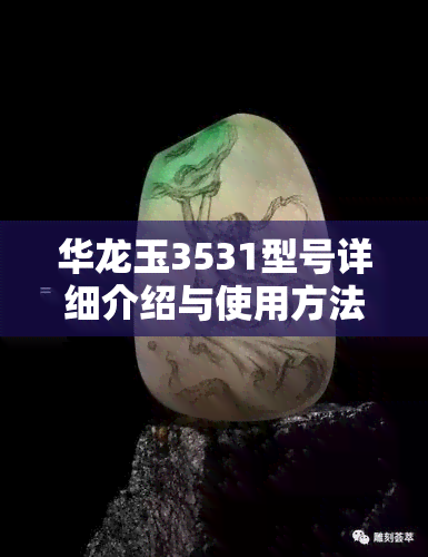 华龙玉3531型号详细介绍与使用方法：用户常见问题解答