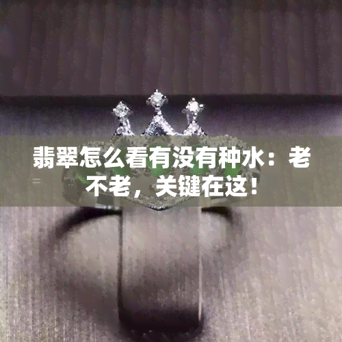 翡翠怎么看有没有种水：老不老，关键在这！