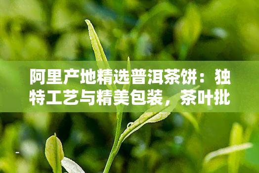 阿里产地精选普洱茶饼：独特工艺与精美包装，茶叶批发促销中