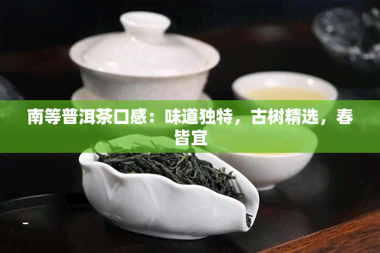 南等普洱茶口感：味道独特，古树精选，春皆宜