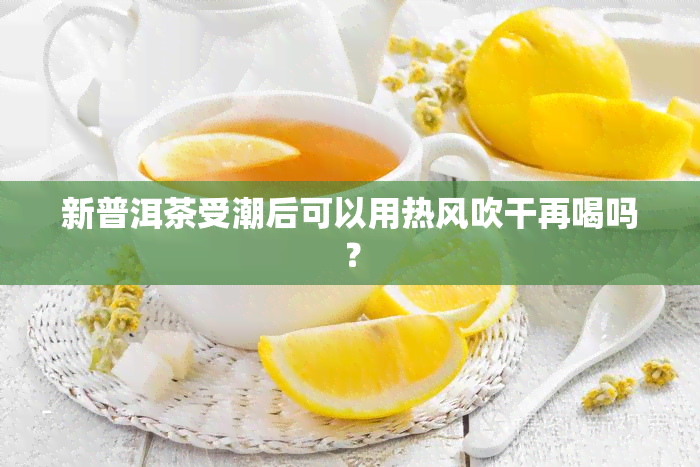 新普洱茶受潮后可以用热风吹干再喝吗？