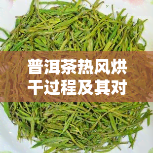 普洱茶热风烘干过程及其对茶叶品质的影响：会坏吗？如何保存与品尝普洱茶？