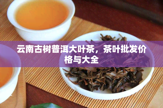 云南古树普洱大叶茶，茶叶批发价格与大全