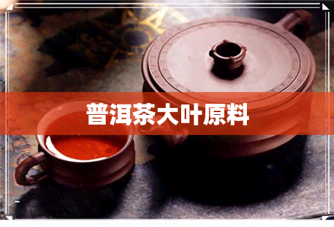 普洱茶大叶原料