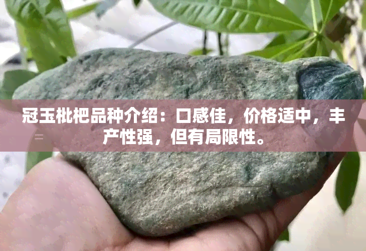 冠玉枇杷品种介绍：口感佳，价格适中，丰产性强，但有局限性。