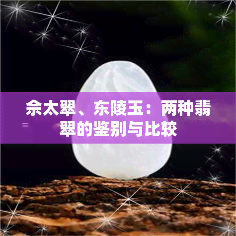 佘太翠、东陵玉：两种翡翠的鉴别与比较