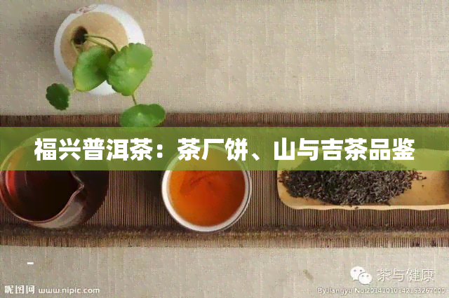 福兴普洱茶：茶厂饼、山与吉茶品鉴