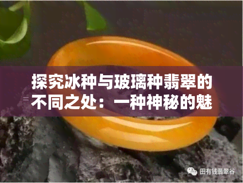 探究冰种与玻璃种翡翠的不同之处：一种神秘的魅力，究竟何在？