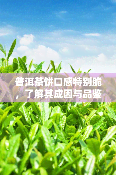 普洱茶饼口感特别脆，了解其成因与品鉴方法