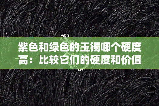 紫色和绿色的玉镯哪个硬度高：比较它们的硬度和价值