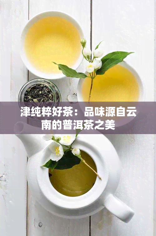 津纯粹好茶：品味源自云南的普洱茶之美