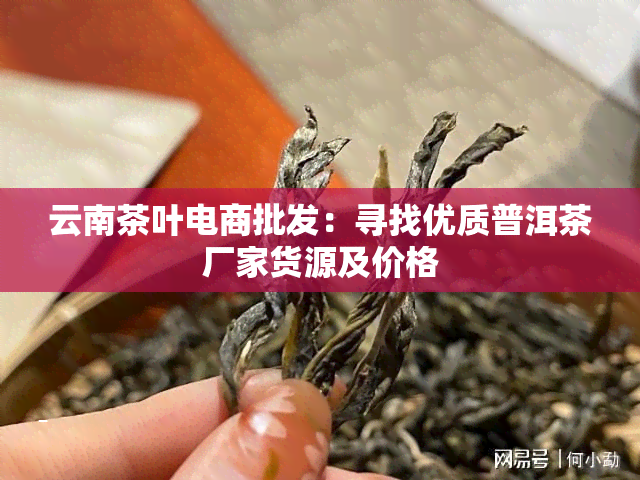 云南茶叶电商批发：寻找优质普洱茶厂家货源及价格